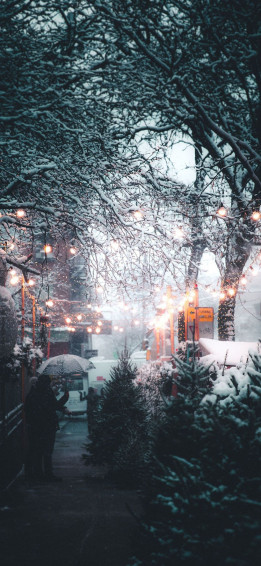 Winter Android iPhone Desktop HD Background Wallpaper