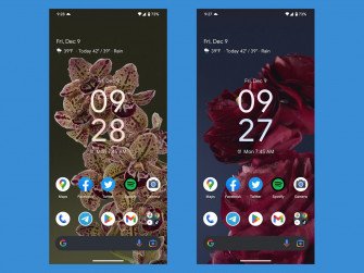 These New Live Bloom Pixel Wallpaper Are Hot