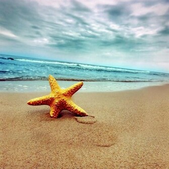 Sandy Beach iPad Wallpaper