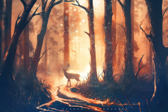 Deer Forest Sunbeams HD Artist 4k Wallpaper Image