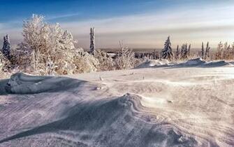 Snowy Field Wallpaper
