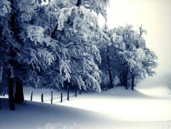 Smscs Photo Winter Scenery