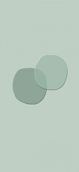 Sage Green Aesthetic Wallpaper Paint Idea