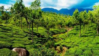 India Kerala Desktop Pc And Mac Wallpaper