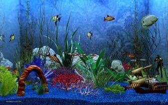 Aquarium Wallpaper