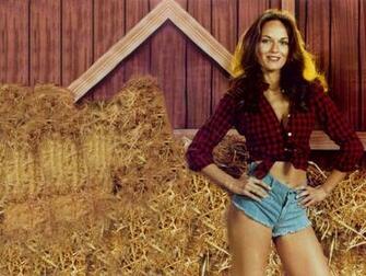 Catherine Bach HD Desktop Wallpaper 7wallpaper Net