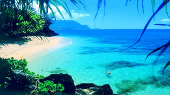 Summer Wallpaper