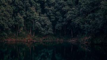 Wallpaper Id Lake Trees Forest Reflection Begnas