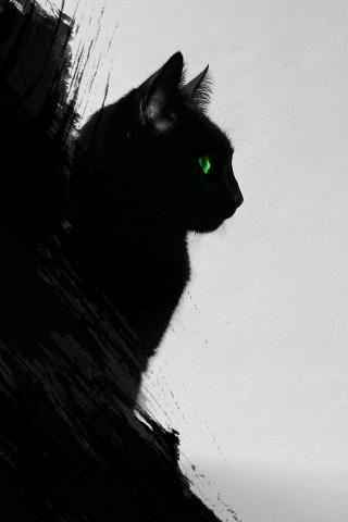 Black Cat iPhone Wallpaper HD For Your