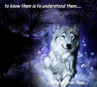 Wolves Image Run HD Wallpaper And Background Photos