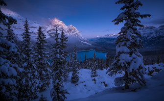 4k Winter Wallpaper Background Image