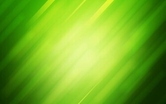 Light Green Background Wallpaper HD Wallpaper55 Best