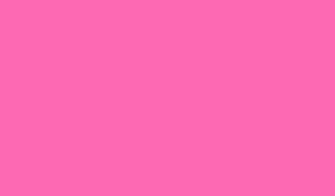 Pink Solid Color Background And The Below