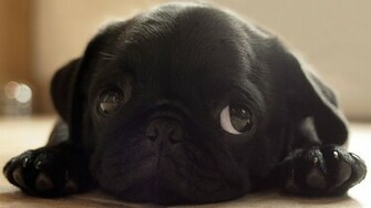 Sad Alone Wallpaper And Set Them As Background Of You Pc Or Laptop