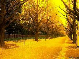 Yellow Wallpaper HD Theme