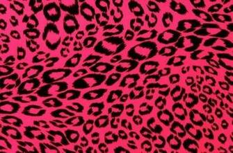 Cheetah Print Graphics Code Pink Comments Pictures