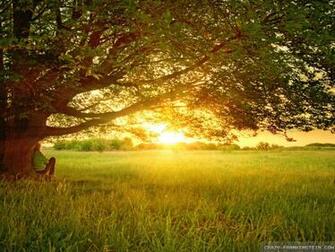 Peaceful Kb By