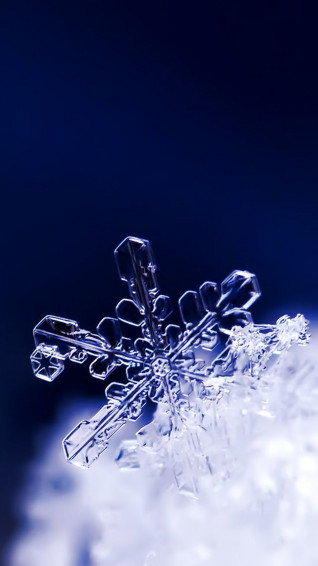 iPhone Wallpaper Snowflake Winter Fairy