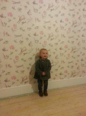 Quentins Menagerie Wallpaper Chic Nursery Decor Childrens