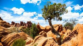 Arches National Park Wallpaper HD