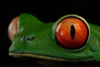 Trip Photo Gallery Pictures More From National Geographic Magazine