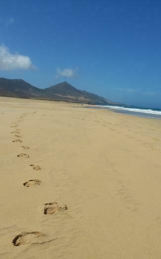 Playa De Cofete Nexus Wallpaper