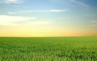 Daily Wallpaper Green Fields And Blue Skies I Like To Waste My Time