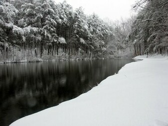 Forest Wallpaper Winter Snowy At Night