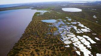 Harvard Chemist Permafrost N2o Levels Times Higher Than
