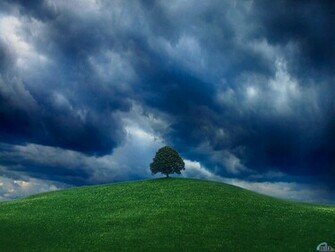 Source Url Motaen Wallpaper Id