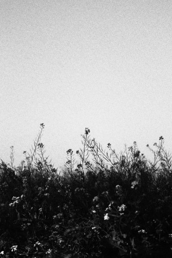 Dark Aesthetic Pictures Image
