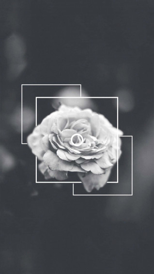 Photography iPhone Wallpaper