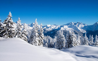 Landscape Mountain Snow Forest Wallpaper HD