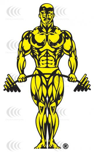 Golds Gym Wallpaper Image Pictures Becuo