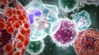 Immune Trendintech
