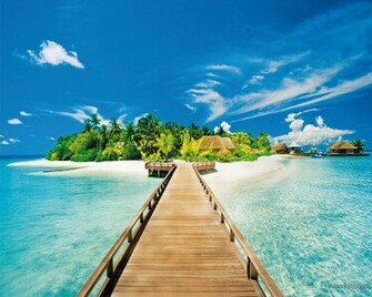 Summer Holidays Wallpaper