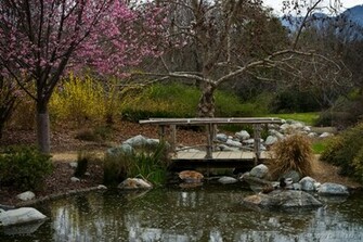 Zen Garden Wallpaper HD Topwallpaper