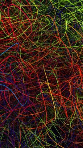 Lines Plexus Neon Colorful Abstract Wallpaper