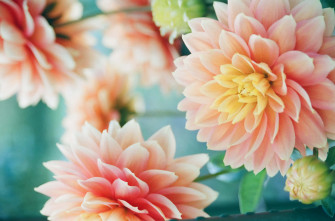 Wildflowers Scnvl4yofjnpnkx1 Wallpaper