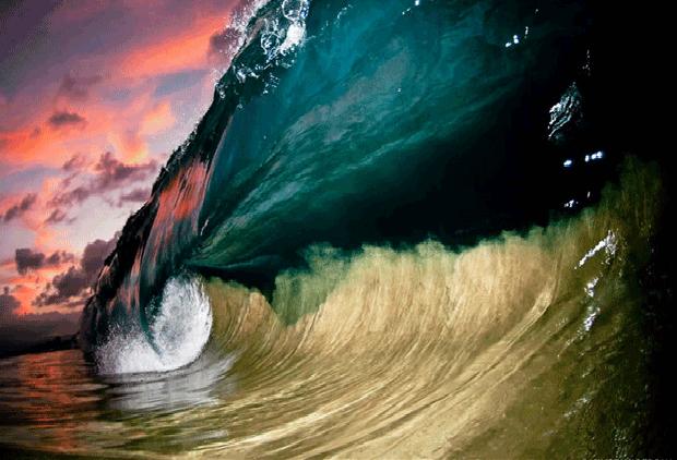 Amazing Clark Little Photography In The Sea Image Gallery