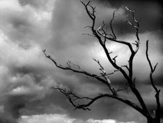 Depressed Pessimist Depressedpessimist Wordpress Year Old