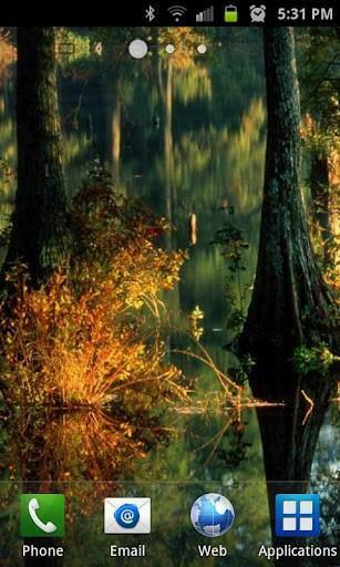 Bigger Bing Live Wallpaper For Android Screenshot
