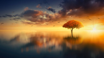 Wallpaper Dreaming Summer