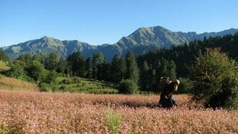 Virtual Fun Extreme Beautiful Nature Scenery Wallpaper