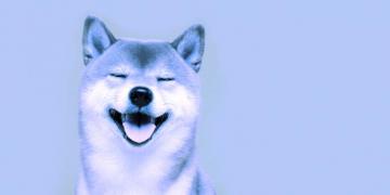 Shiba Inu Surges Following Whale S Million Shib Buy Decrypt