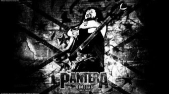 Music Pantera Wallpaper