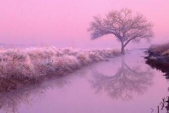 Aesthetic Wallpaper Amazing High