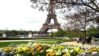 Spring In Paris Wallpaper Crazy Frankenstein
