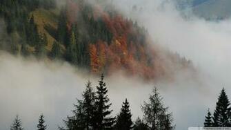 Foggy Mountain Forest 4k HD Desktop Wallpaper For Ultra