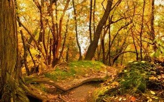 Autumn Scenery Wallpaper